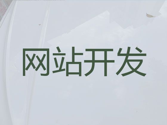 新沂市专业网站建设开发#企业获客软件，专业建站公司