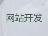 新沂市专业网站建设开发#企业获客软件，专业建站公司
