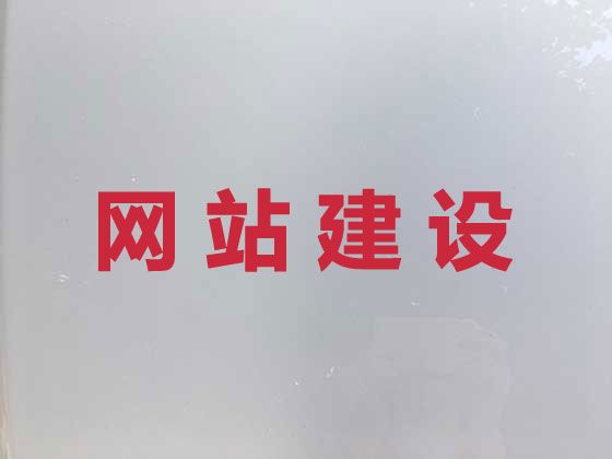 龙岩市SEO网络推广-网站开发，多年专业建站经验