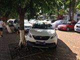 安庆市高价回收二手车-新能源车回收，快速上门电话，价格透明