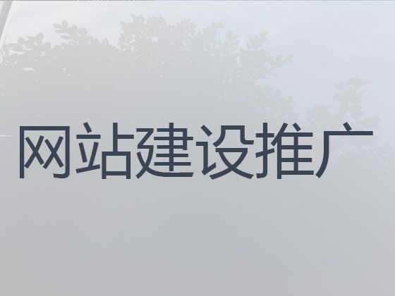 崇左市企业网站建设公司&crm系统开发，多年建站经验