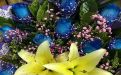 济宁市婚庆仿真花/鲜花-别墅花园绿化/鲜花，养护一站式服务