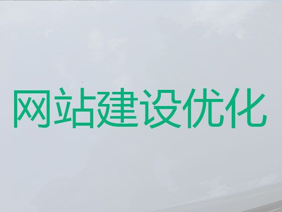 德州市SEO网络推广-商城网站开发，优秀设计团队
