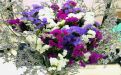 广州市仿生花/鲜花绿植-永生花墙，送货及时