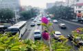遵义市婚庆仿真花/鲜花-绿化庭院/仿真花，售后完善