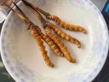 淄博市散装冬虫夏草回收商电话，上门高价回收各种高档礼品