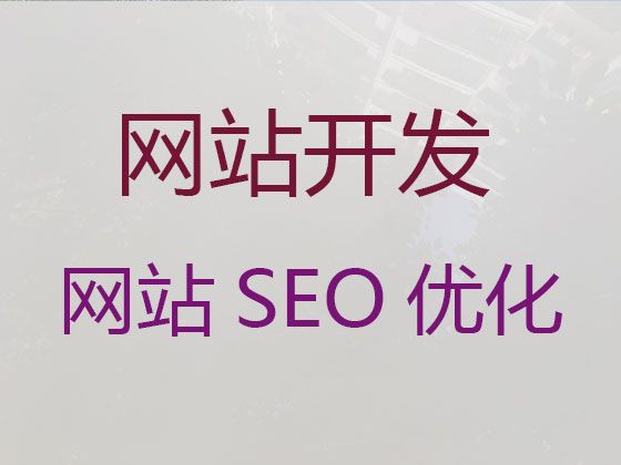 西宁市品牌网站建设推广#软件系统开发，专业建站公司