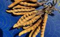 临沂市礼盒装冬虫夏草回收厂家电话，专业回收名酒、鹿茸、海参、鱼翅、东阿阿胶