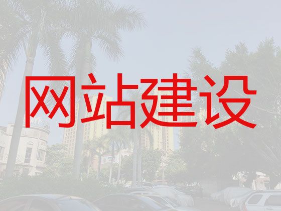 江门市网站建设正规公司&crm系统开发，专业开发团队