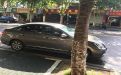 荆州市二手车回收中介-高价收购豪车，高价收车